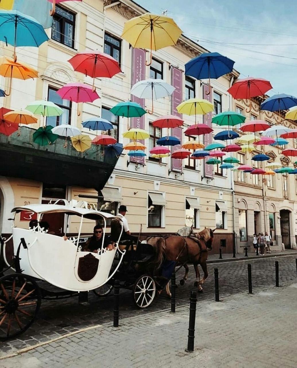 Green Apartment Lviv Dış mekan fotoğraf