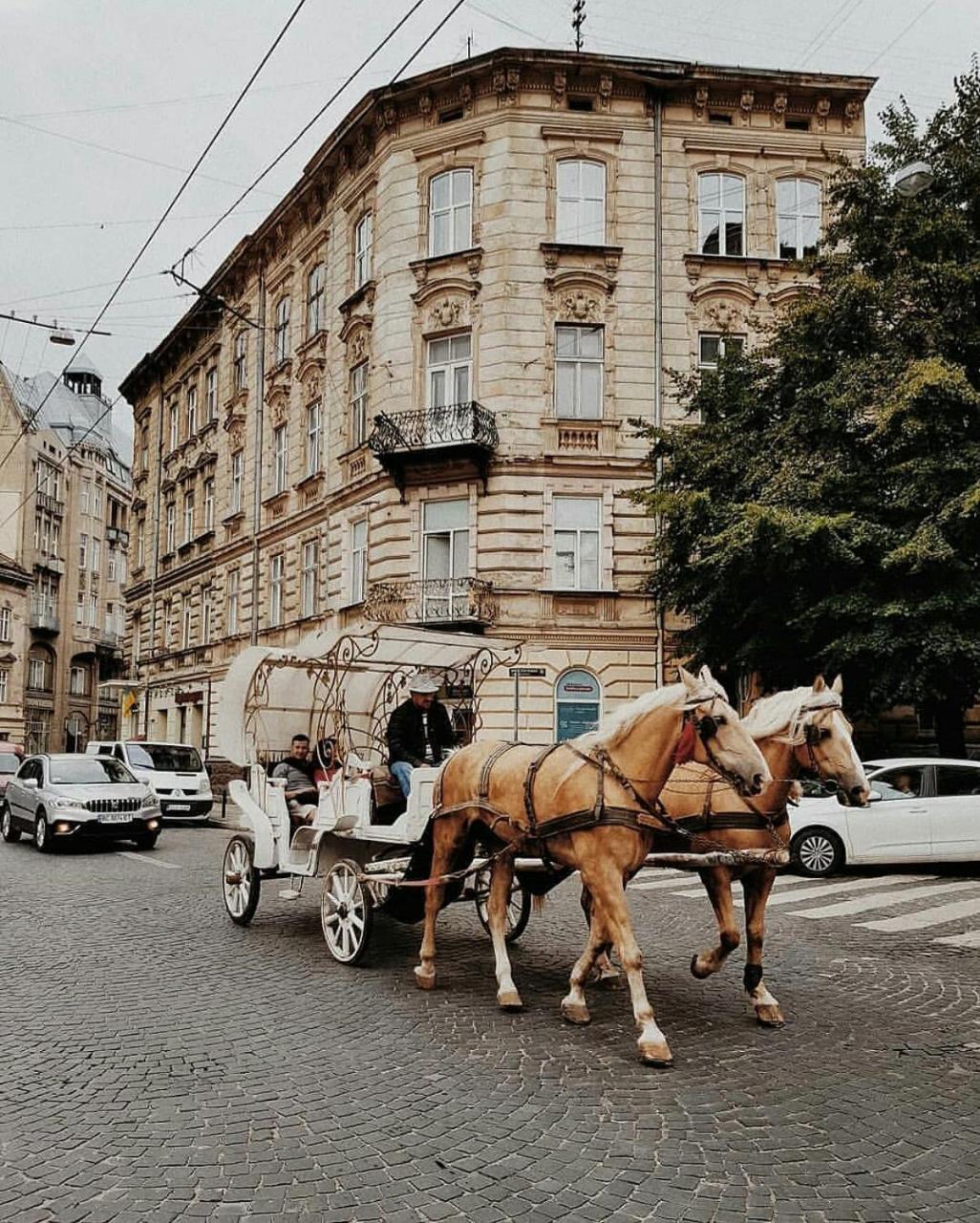 Green Apartment Lviv Dış mekan fotoğraf