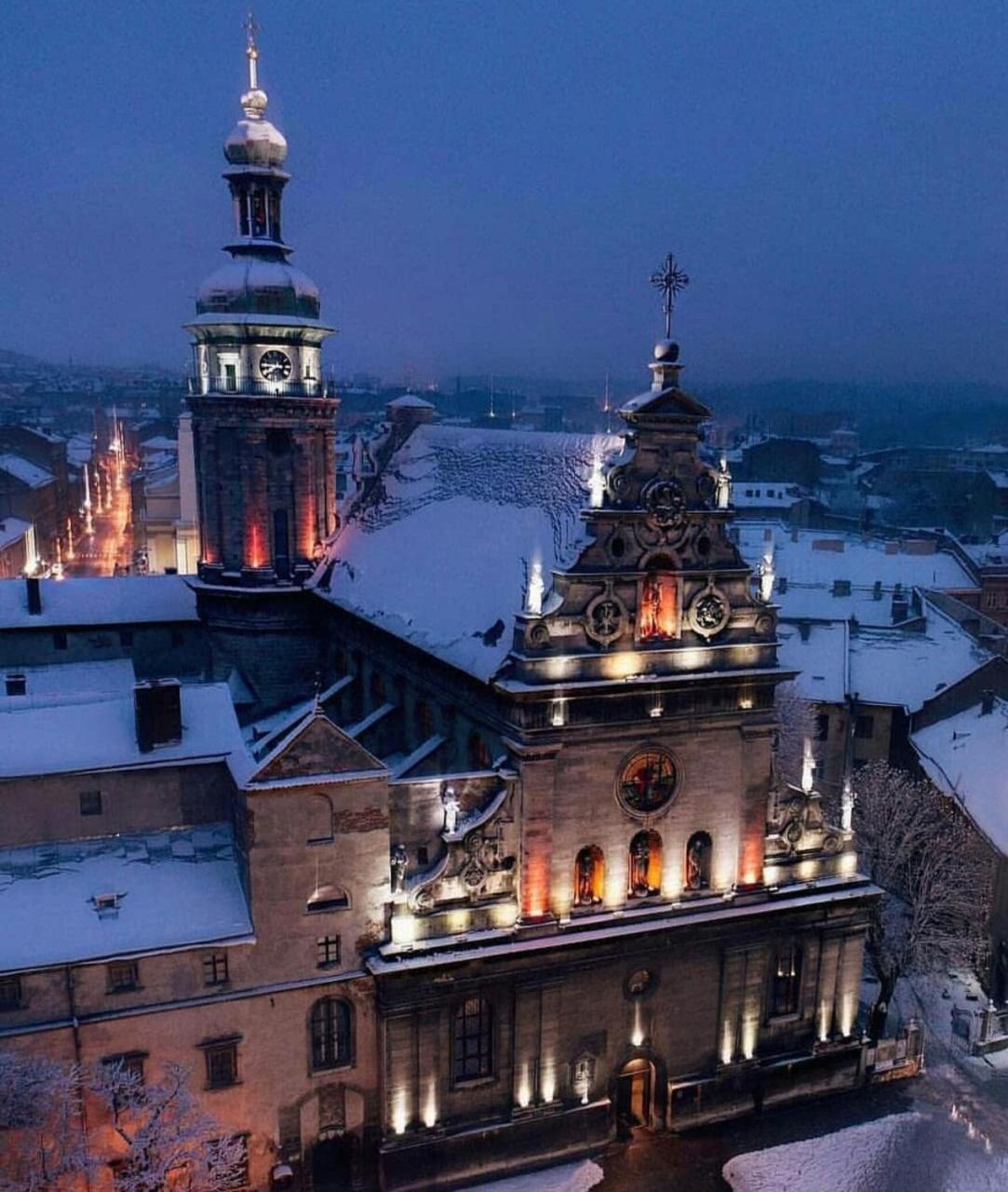 Green Apartment Lviv Dış mekan fotoğraf