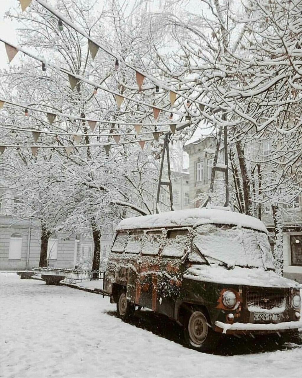 Green Apartment Lviv Dış mekan fotoğraf
