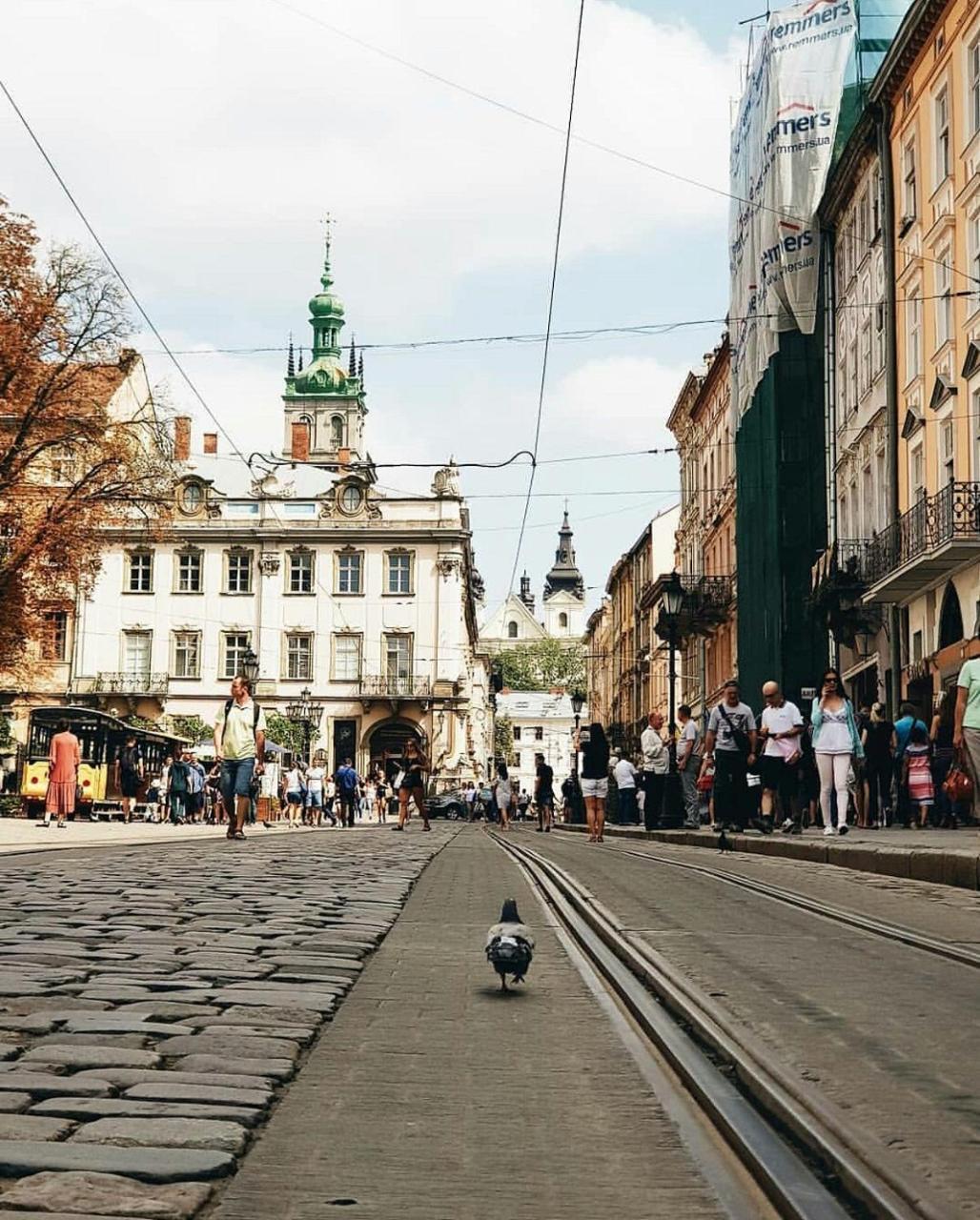 Green Apartment Lviv Dış mekan fotoğraf