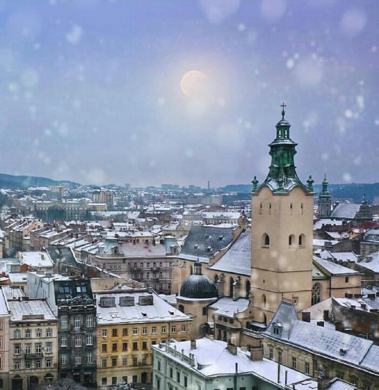 Green Apartment Lviv Dış mekan fotoğraf